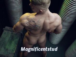 magnificentstud Sexe amateur contributions