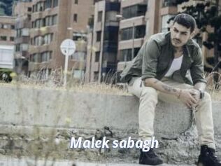 Malek_sabagh