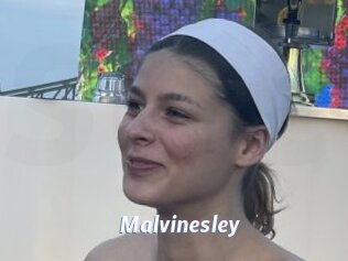 Malvinesley