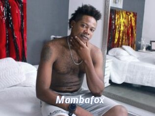 Mambafox