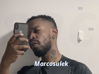 Marcosulek