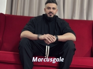 marcusgale Sexe amateur contributions