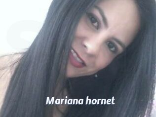 Mariana_hornet