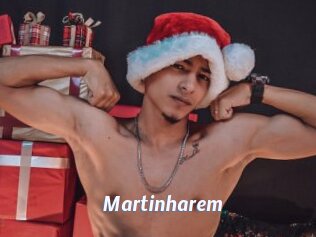 Martinharem