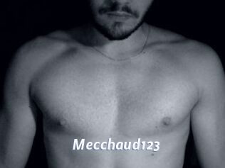 Mecchaud123