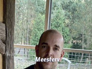 Meesterv