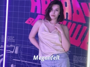 Meganfelt