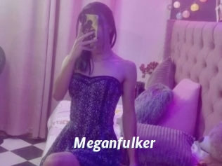 Meganfulker