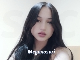 Meganosori