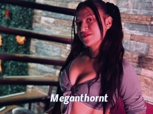 Meganthornt