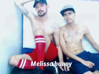 Melissa_bunny
