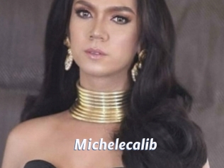 Michelecalib
