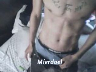 Mierdoel