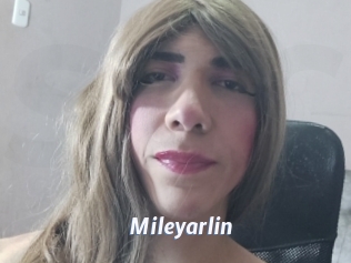 mileyarlin Sexe amateur contributions