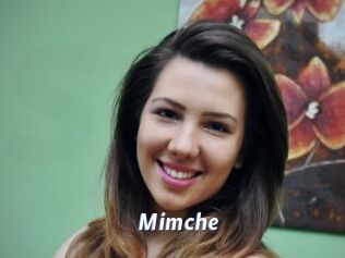 Mimche