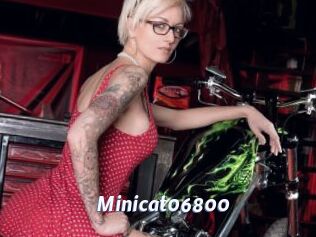 Minicat06800
