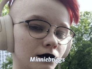 Minniebriggs
