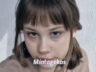 Mintagekas