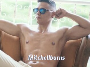 Mitchellburns