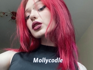 Mollycodle