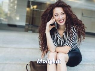 Mollykat