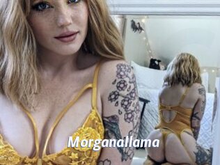 Morganallama