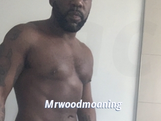 Mrwoodmoaning