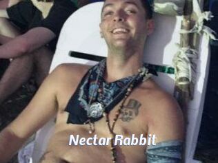 Nectar_Rabbit