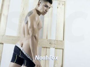 NoahFox