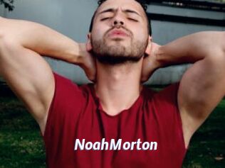 NoahMorton