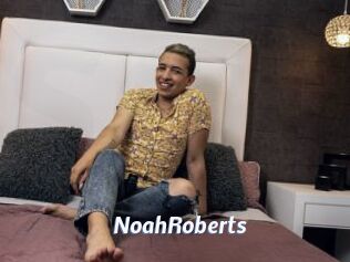 NoahRoberts