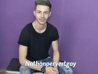 Nathanpervertgay