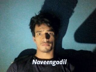Naveengadil