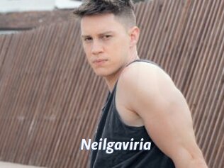 Neilgaviria