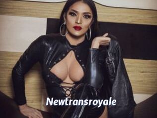 newtransroyale Sexe amateur contributions