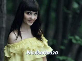 Nicekarina20