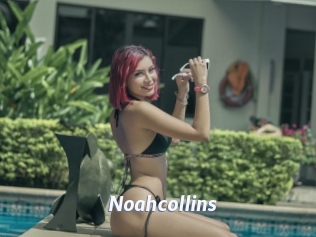 noahcollins Sexe amateur contributions