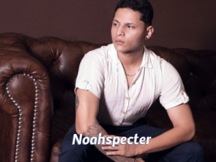 noahspecter Sexe amateur contributions