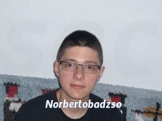 norbertobadzso Sexe amateur contributions