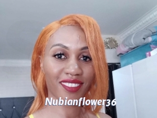 Nubianflower36