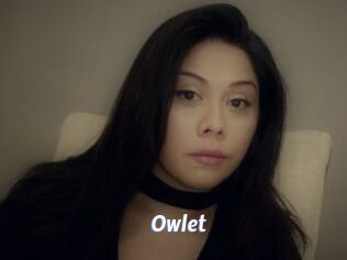 _Owlet_