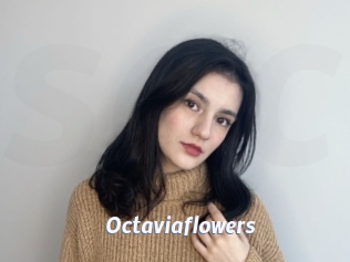Octaviaflowers