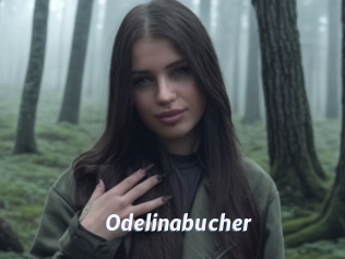 Odelinabucher