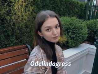 Odelindagrass