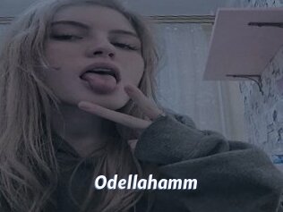 Odellahamm