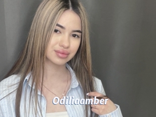 Odiliaamber