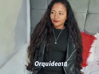 Orquidea18