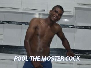 POOL_THE_MOSTER_COCK