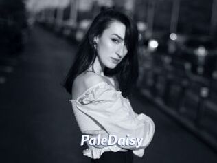 PaleDaisy