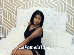 PamelaTuner